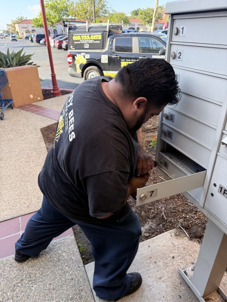 Mailbox Lock Replacement